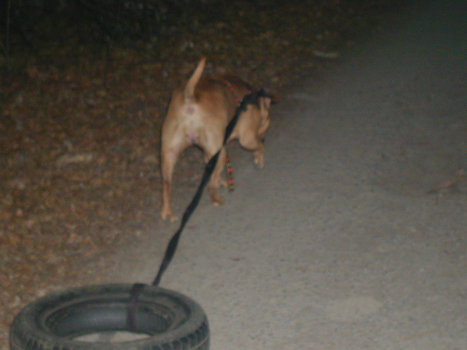 P1010009.JPG