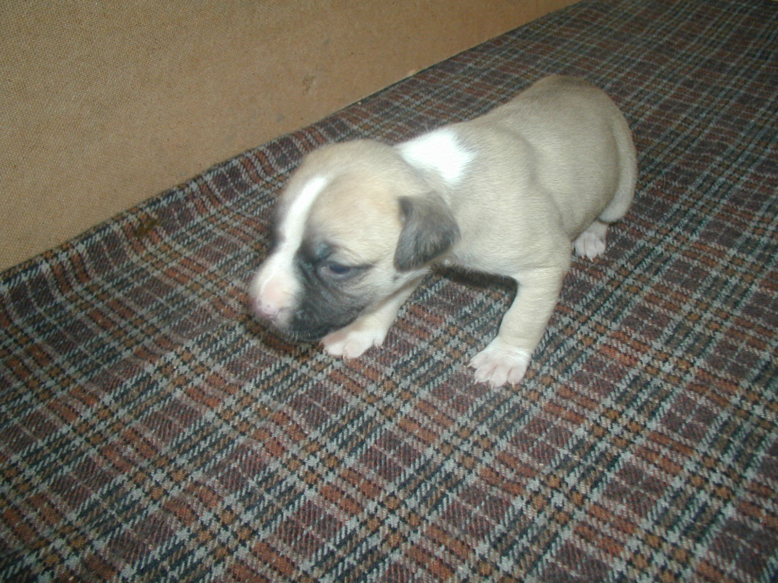P1010005.JPG