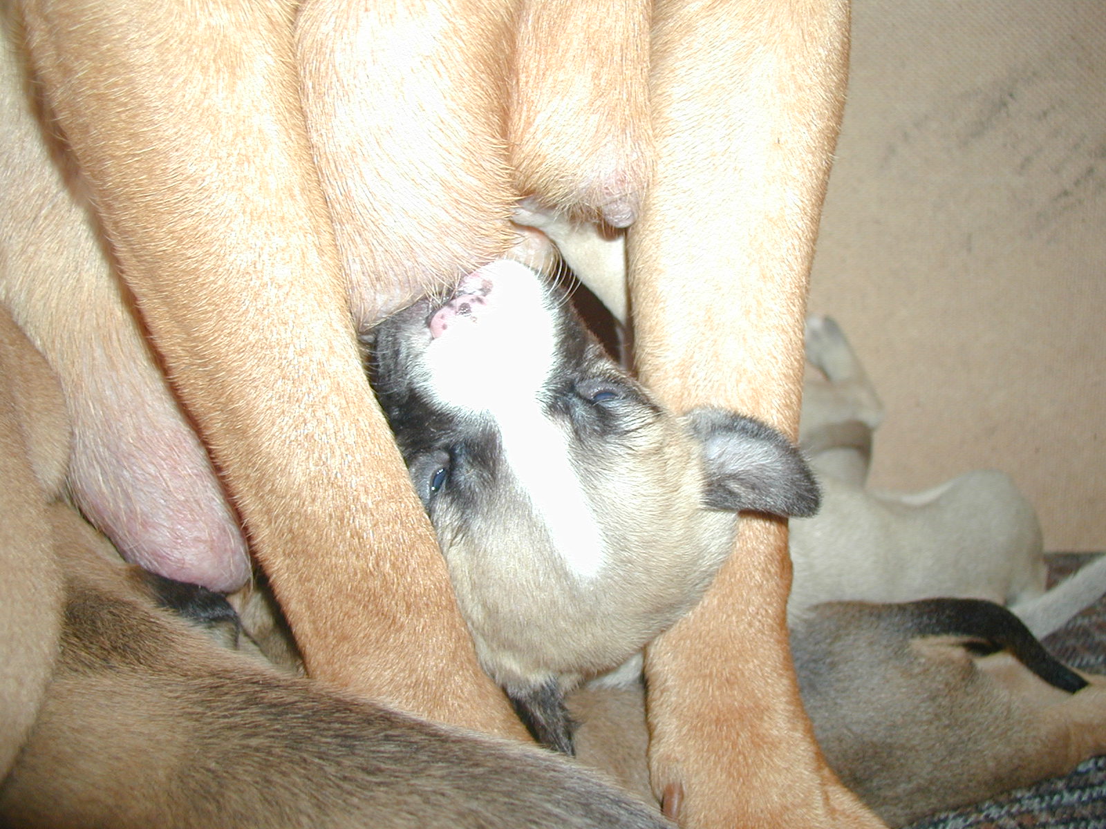 P1010021.JPG
