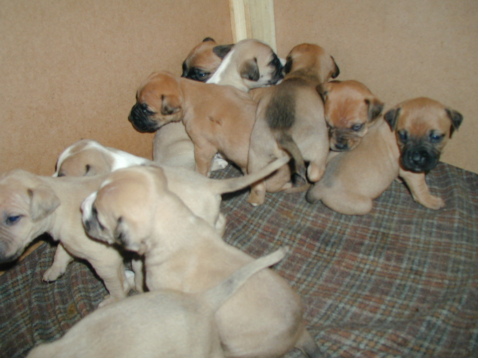 P1010006.JPG