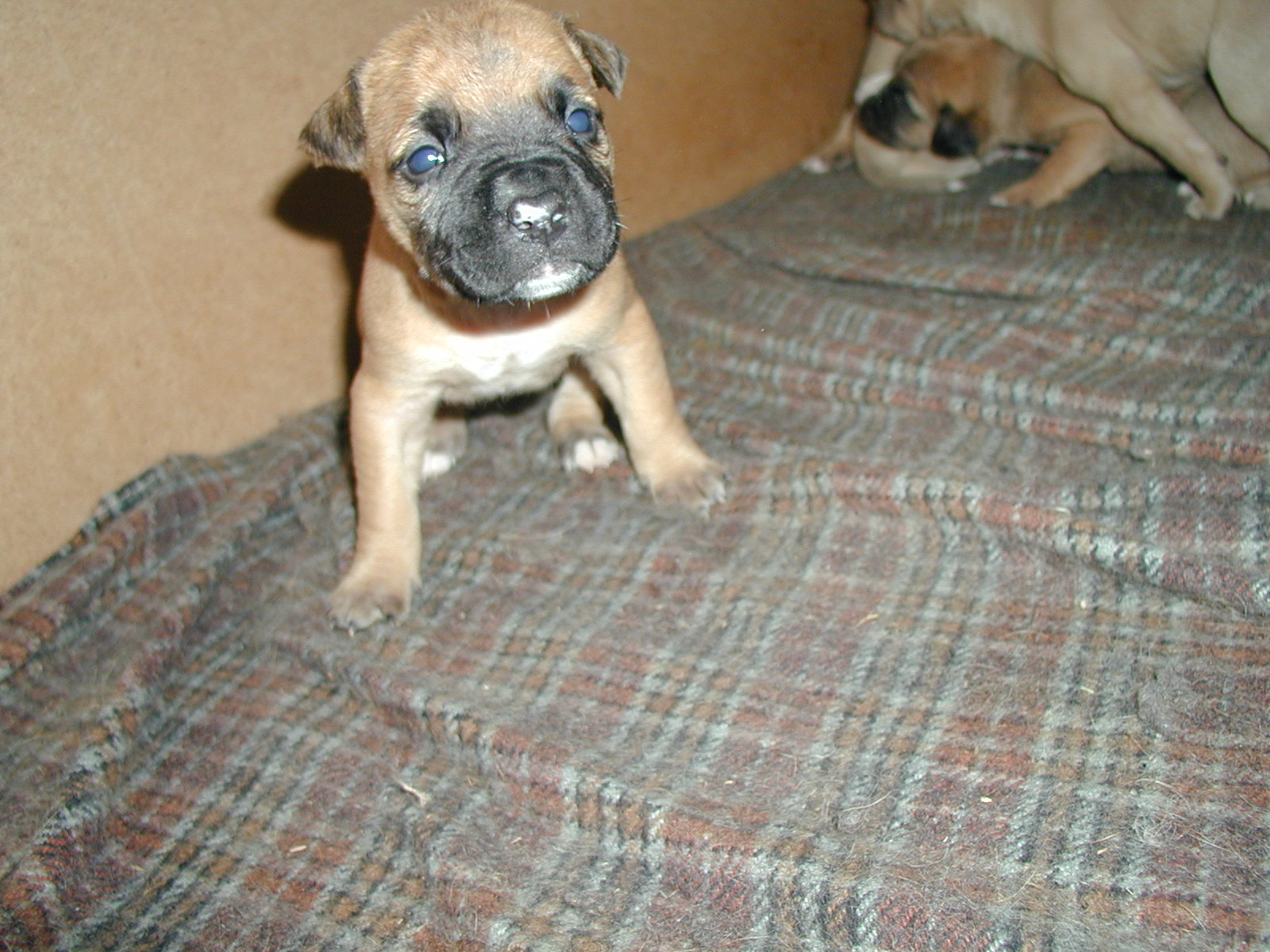 P1010009.JPG